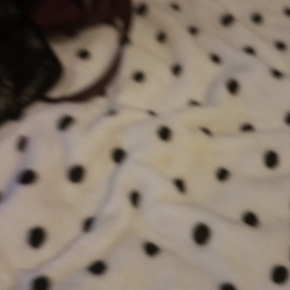 Wallet - Picture 2 of 3